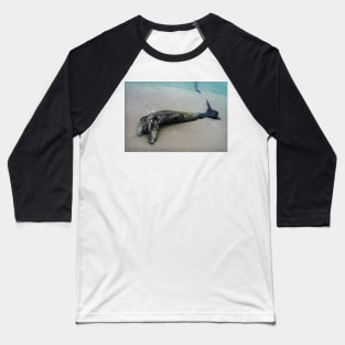 Driftwood Dolphin Baseball T-Shirt